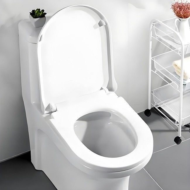 Toilet Seat Made Melamine Powder Customization OEM ODM
