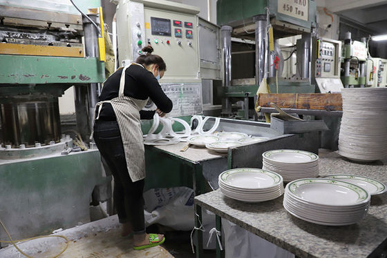 Non Toxic 100% White Melamine Glazing Powder 10Kg/Bag For Melamine Dinnerware