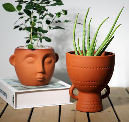 Indoor Small Terracotta Plant Pots Stain Resistance