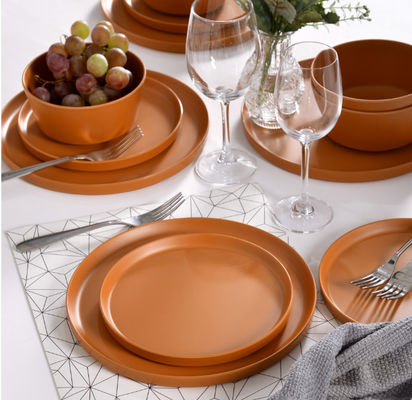 12pcs Melamine Plates Bowls Duarable Dishwasher Safe Bpa Free