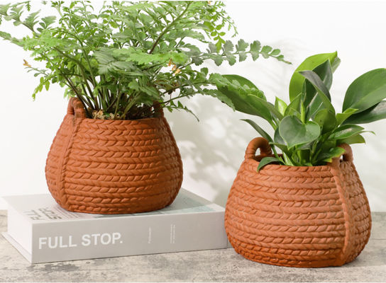 6 Inch Small Terracotta Pots For Indoor Plants Live